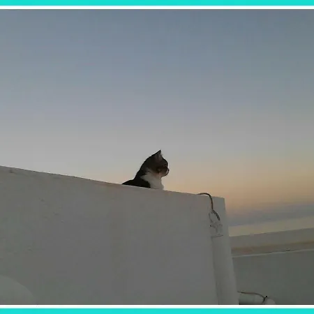 Atico Luminoso Frente Al Mar - Bright Penthouse דירה *